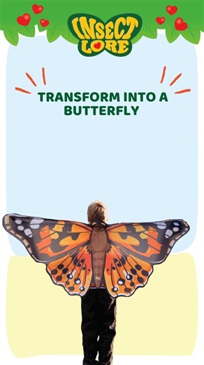 Insect Lore | Let imaginations take flight! 🦋 Butterfly Wonder Wings turn little moments into big butterfly magic, perfect for dress-up, playtime, and... | Instagram