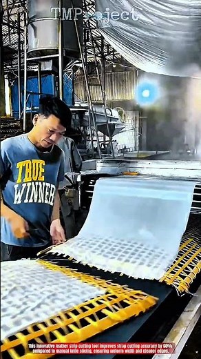 Innovative Rice Sheet Processing Machine: Best Continuous Steam Forming Action