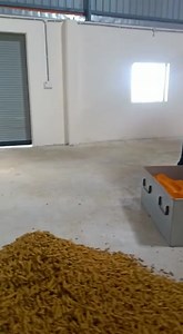 Haldi ( turmeric) powder machine automatic plant 📲📞☎️ 91 88716 86000 | Punjab Engineering Corporation