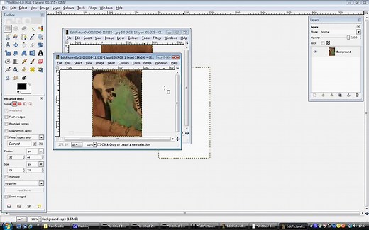 How to make a slideshow or animation in GIMP- Part 1