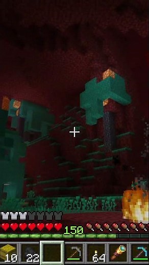 Minecraft Easy to Find Warped Forest