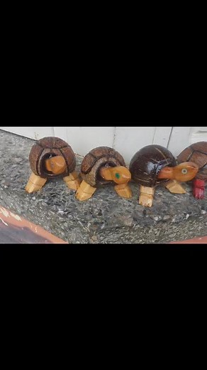 Bubble head turtles made from coconut 🥥 shell and wood. Contact me toady or visit us. 7373271 | Tuck Internationalz