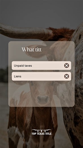 A title search protects more than just a transaction. It uncovers things you need to know before closing: ✔️ Unpaid taxes ✔️ Liens ✔️ Ownership disputes ✔️ Recording records Knowing these details early helps avoid surprises later. At Top Texas Title, we make sure your closing is done right and with confidence. #TopTexasTitle #TitleSearch #RealEstateEducation #TexasRealEstate #smoothclosings | Top Texas Title