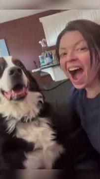 Dogs Who HATE Being Kissed 😂 (Funny & Relatable Reactions!)