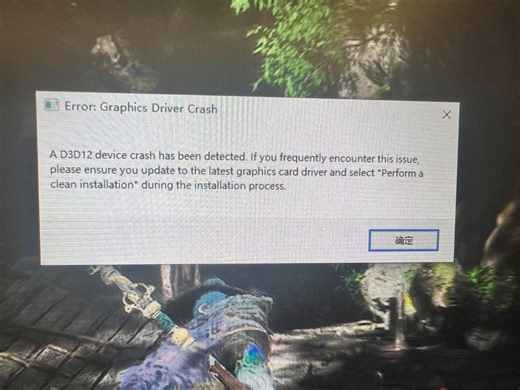 9.23号更新报错D3D12的一种解决方法