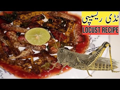 Locust Recipe | Grasshopper Fry Recipe | Rare Halal Food | Locust Swarm In Pakistan | cookery
