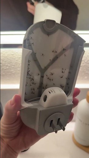 Zevo Flying Insect Trap Review Does It Actually Catch Bugs