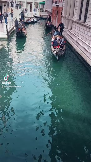 Video di ਅੰਬਰਸਰ#ਤੋਂ ROMAਵਾਲੇ (@ambersarwalle) con original sound - Jass_flix07