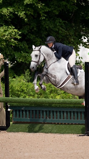 30 reactions | The lessons are learnt outside of the show ring!...