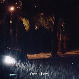 245K views · 2.8K reactions | Murphy's Law has got nothing on Shiro. She suffered two major car accidents within weeks of each other: a falling tree struck her red Mercedes, and an 18-wheeler collided with her car on her way back from the repairs. But, even if it feels like misfortune is chasing you, always remember that joy can still be found on the other side. #MementosOfPastDisasters #InsuringHappiness | APA Insurance KE | Facebook