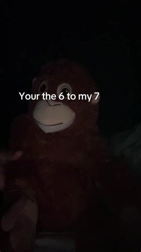 #mrmonkey #urfavmonkey #pookie #67 #ikeamonkey | Pet Monkey