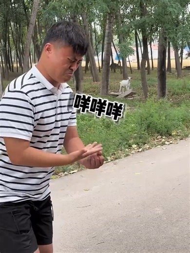 animals sounds prank They all got Confused 😂 #funnyanimals #animals #bark_prank #prankwithanimals