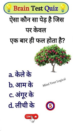 Important Gk Questions // Interesting Gk Questions // Gk Quiz // Brain Test #mindyourlogical-7a