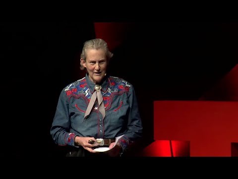 Educating Different Kinds of Minds | Temple Grandin | TEDxCSU