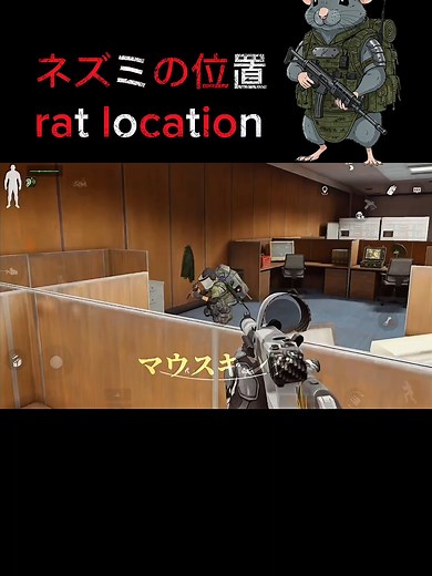 アリーナブレイクアウトでの使いやすい場所