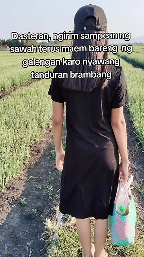 Misale😂 #petanibawangmerahnganjuk #bawangmerah #petanimuda #petaniindonesia🇮🇩🇮🇩🇮🇩🌿🌿 #petanimudamilenial