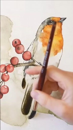 Watercolor Robin, full 20 min tutorial on my channel