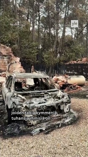 Kalat kuolevat jokiin kuivuuden takia Ranskassa