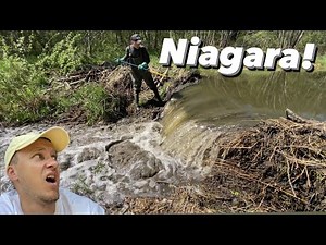 NIAGARA BEAVER DAM FALL :)