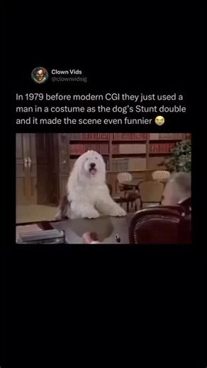 @clownvids on Instagram: "This humorous clip is taken from a scene in the classic 1976 Disney movie, The Shaggy D.A., where two characters are engaged in a tense, dramatic standoff in a wooded, mountainous area. The scene is clearly intended to convey high stakes and a dangerous pursuit, with the natural setting adding to the sense of isolation and peril. The dialogue and camera angles build anticipation for an imminent confrontation, typical of action or thriller films of that era. This deliber