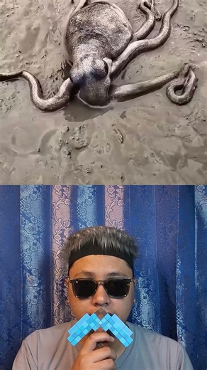 what... the octopus made it throught‼️😱octofart