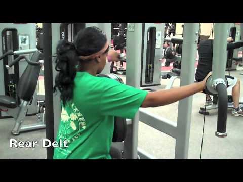 Pec Fly and Rear Delt/ Pectoral Fly and Rear Deltoid Machine