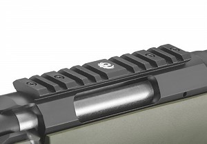 Recipe for Ruger American Iron Sights aside from Nodak Spud