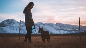 Terrifiant ! Une jeune fille sauvagement violée en promenant son chien