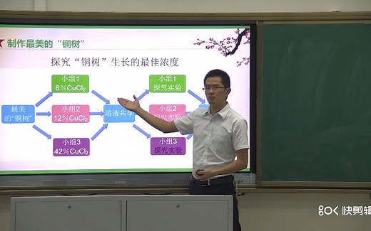 金属的化学性质——金属活动性顺序 课堂实录 教具 说课