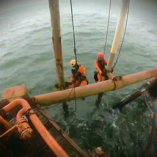 RISER Inspection using Rope Access IRATA Offshore fasillity