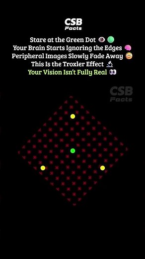 Your Brain Makes Colors Disappear 🤯👁️