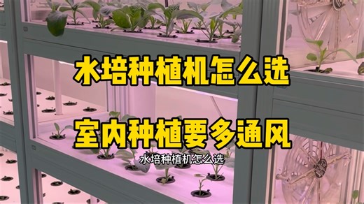 水培种植机怎么选？