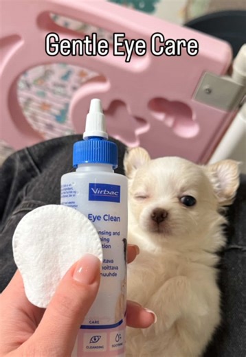 Gentle Eye Care for Dogs and Cats with Virbac Eye Clean