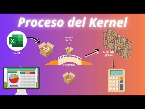 Funcionamiento del kernel y proceso de la información