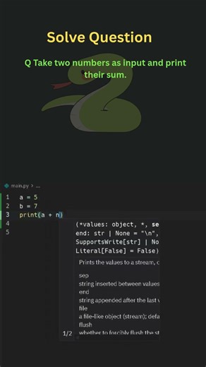 python programming solve questions