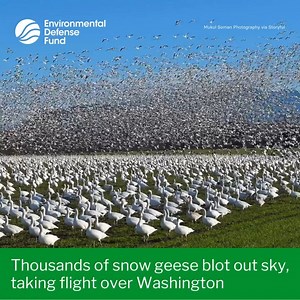 1.7K views · 138 reactions | Extraordinary  ICYMI: Thousands of...