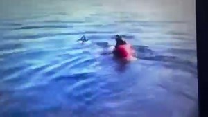 4.1K views · 194 reactions | My oldest daughter's first experience with waterskiing. Piggyback ride with dad. The old life belts were a perfect place to sit. This was 40 years ago. She refuses to ride with me anymore | Ken Davis | Facebook