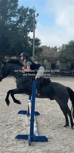 put me on anything and ill cook 💪 #horse #4urpage #equestrian #myhorse #horsecommunity #horsegirl