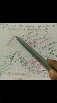 Hydrological cycle #Environment#education #trending #hydrologicalcycle #sublimation
