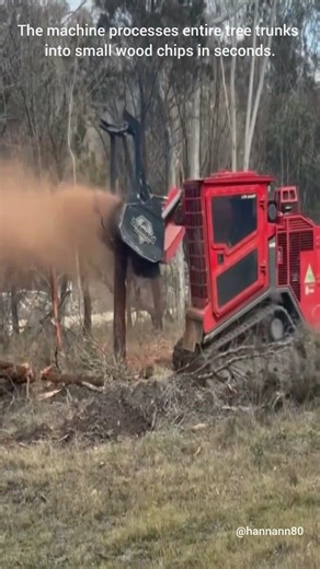 From a full tree to a pile of mulch with just one pass.The ultimate land-clearing machine in action.