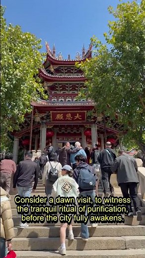 Tokyo's Forgotten Soul: Shinto Shrines Unveiled ⛩️