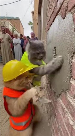 لما يكون معاك في شغلك موظف غبي 🤣 #ai #ai_developers #accessibility #3d_design #ai_ethics #coding #6g