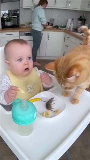 A Cat Brings a Mouse to the Baby’s Plate 🐱🍽️😳#shorts #viral #cute #catstory #emotionalstory #catlife