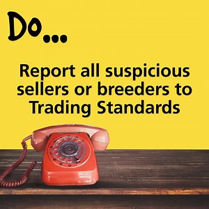 11K views · 159 reactions | 1,000 new pet adverts appear on...