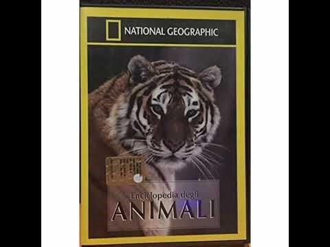 National Geographic Enciclopedia Degli Animali Storie Di Cuccioli DVD Menu