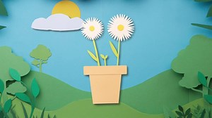 2.4K views · 20 reactions | Meet our new range of Plantable Cards!...