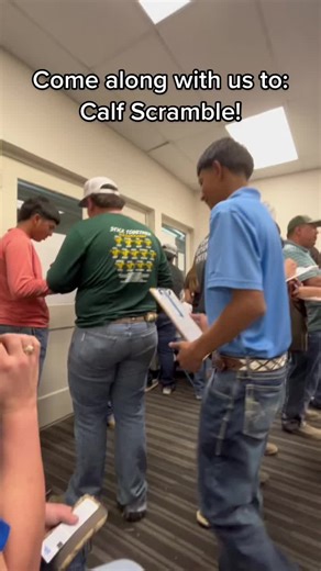 A Day with Calf Scramble Kids at Rodeo