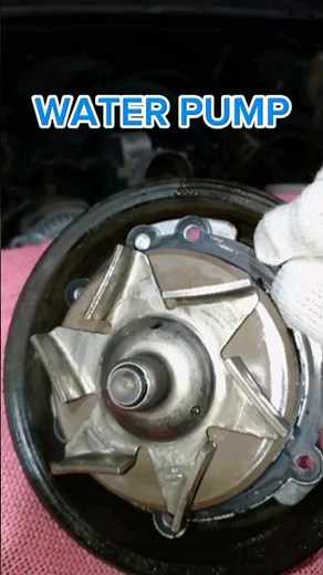 How To Replace a 2016-2020 Chevy & GMC 5.3L Water Pump#automobile#@AutoMechanic88 #shorts #short