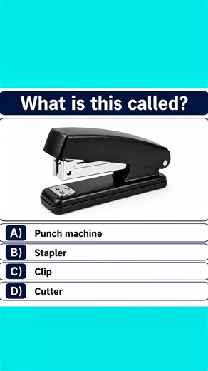 English Vocabulary Quiz: Test Your Word Power!