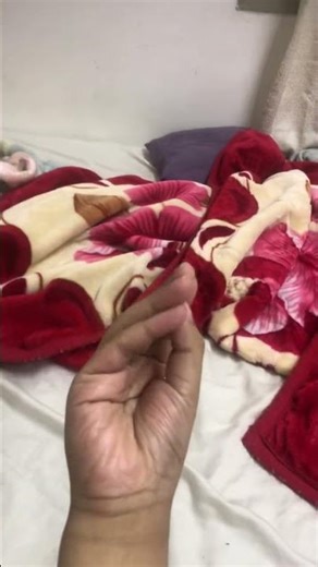 SB shark puppet versus Duolingo￼